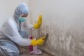 Best Water Damage & Mold Remediation  in Nottingham, PA